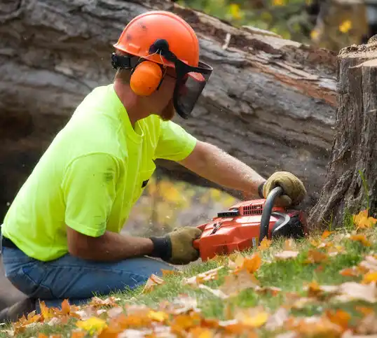 tree services Oak Harbor